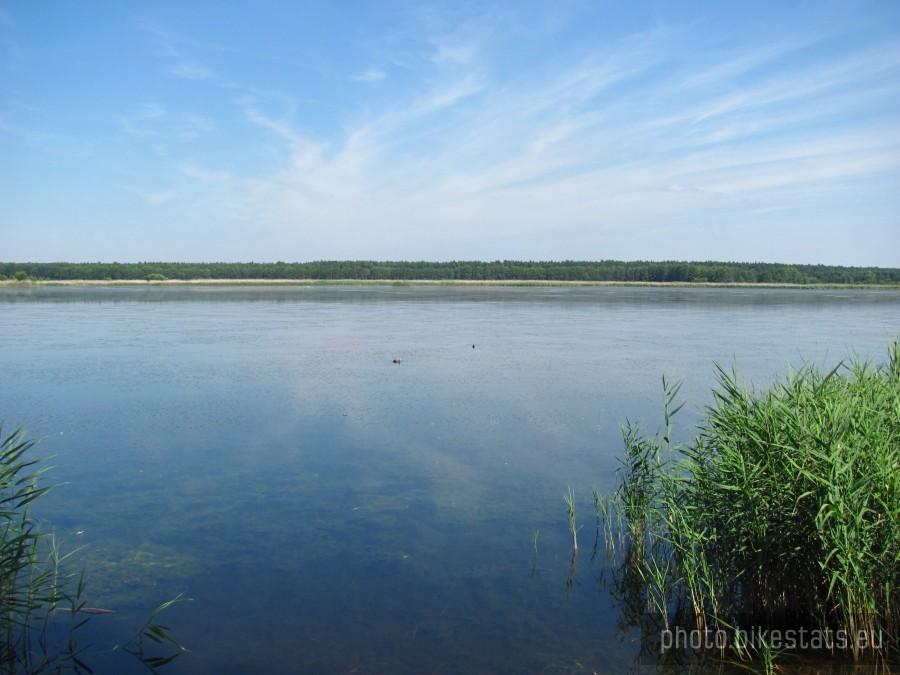 staw Posmyk