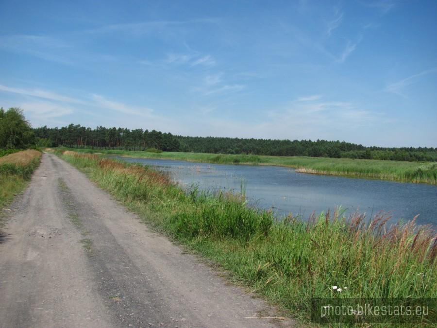 Kokotek Drugi