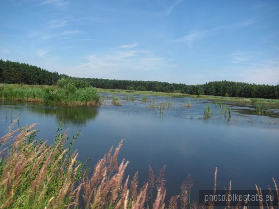 Kokotek Pierwszy