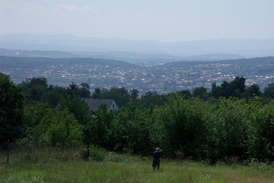 Widoczek z trasy