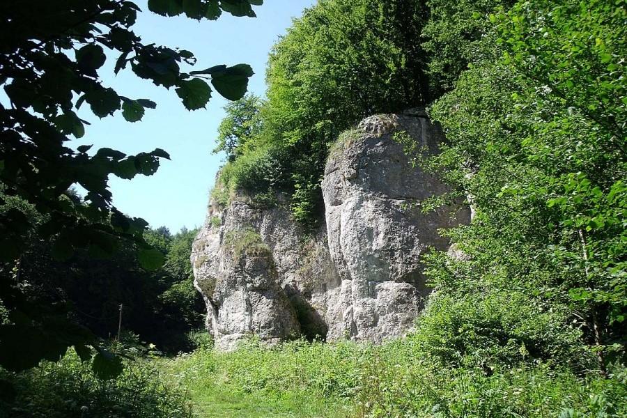 Dla Tomeckiego Dupa Słonia
