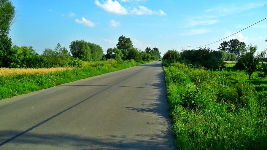 W drodze na Gniewoszów