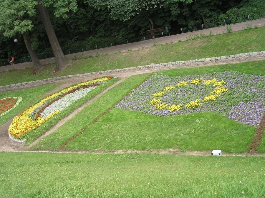 Flaga unijna na plantach Chełmna