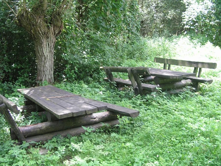 Bar Ostoja w Rudkach to teraz urokliwe, opuszczone miejsce