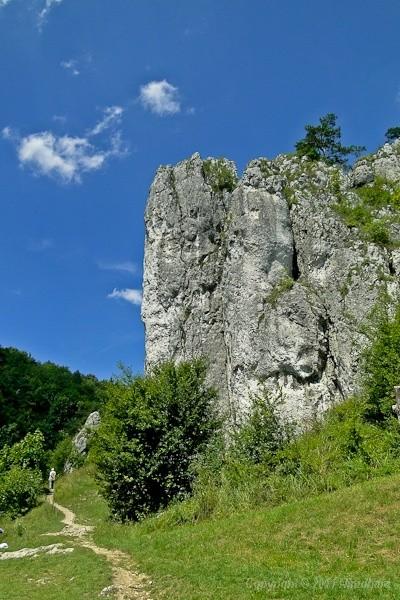 Filar Abazego
