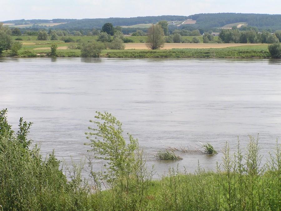 Wisła widziana u podnóża podjazdu w Kozielcu