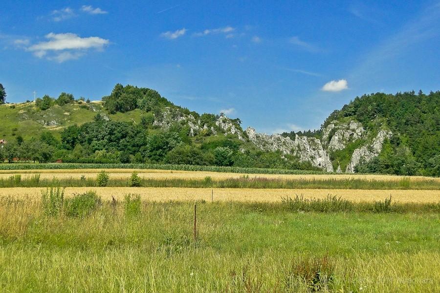 żegnajcie Bolechowice