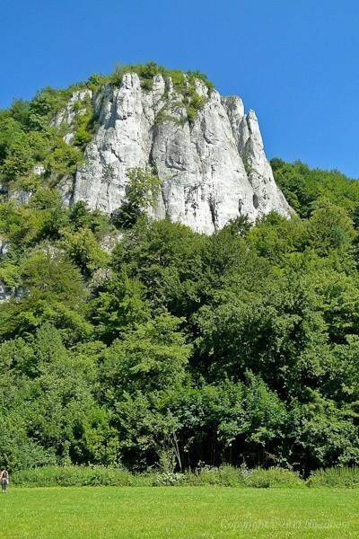 dumna Sokolica