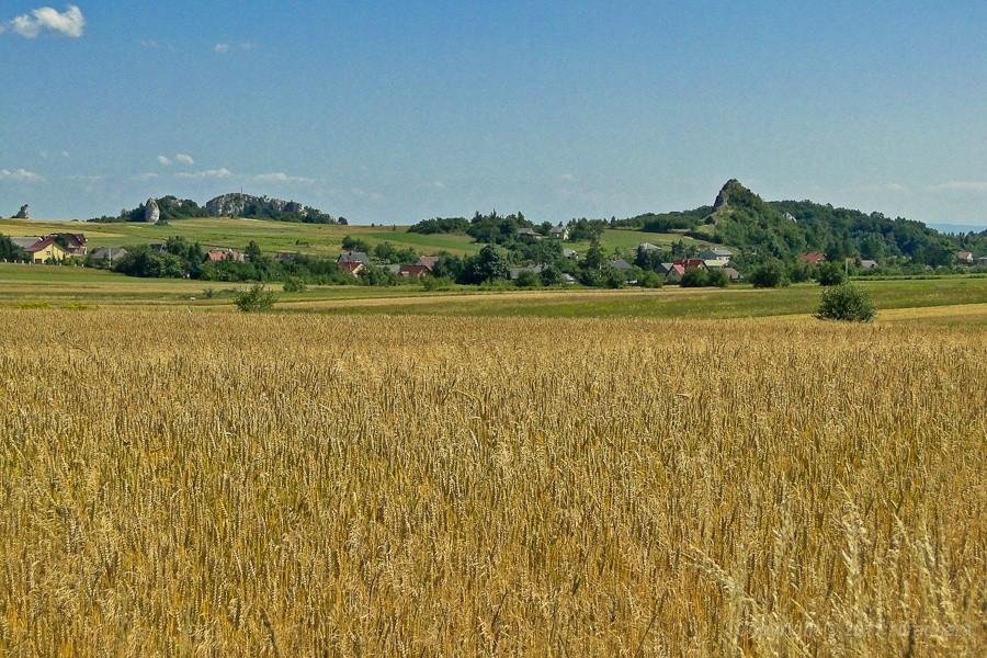 a za nami powoli zostaje wszystko co piękne