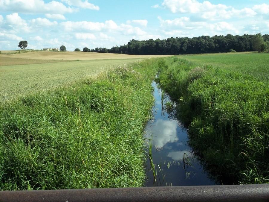 Drybok leniwie zmierza do Wisły