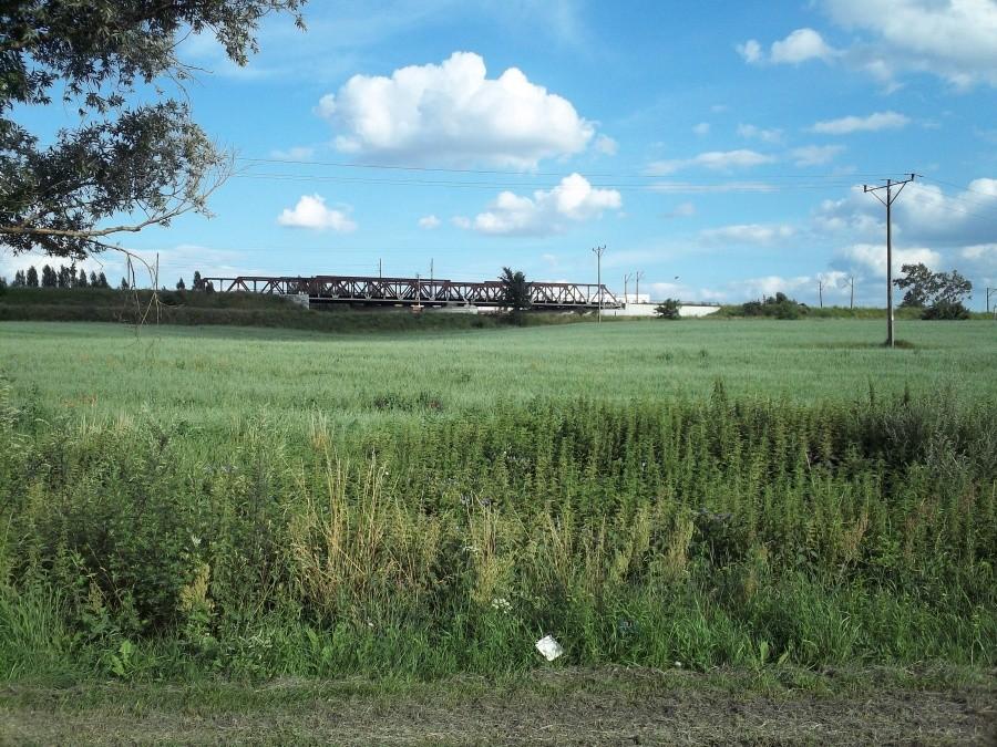 Mosty kolejowe nad Kanałem Młyńskim