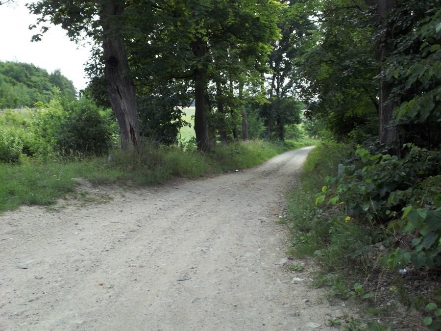 W Zwierzynku