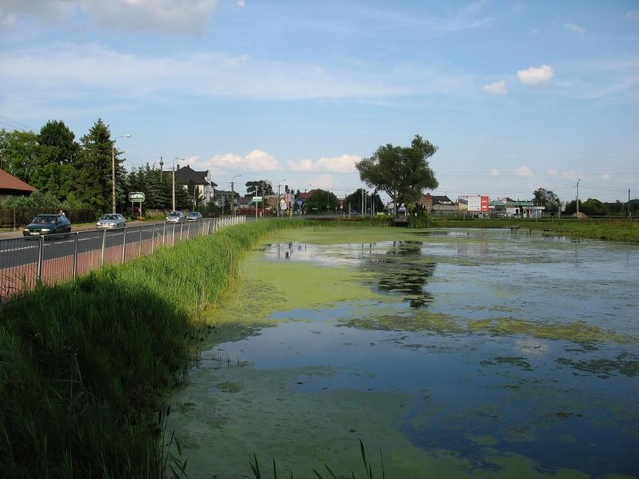 Lesznowola - staw