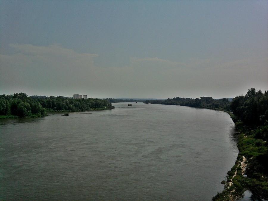 W tle Puławy