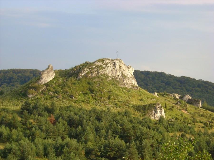 Biakło (Dziewica) z Harnasiowo - Tatrowego wzgórza.