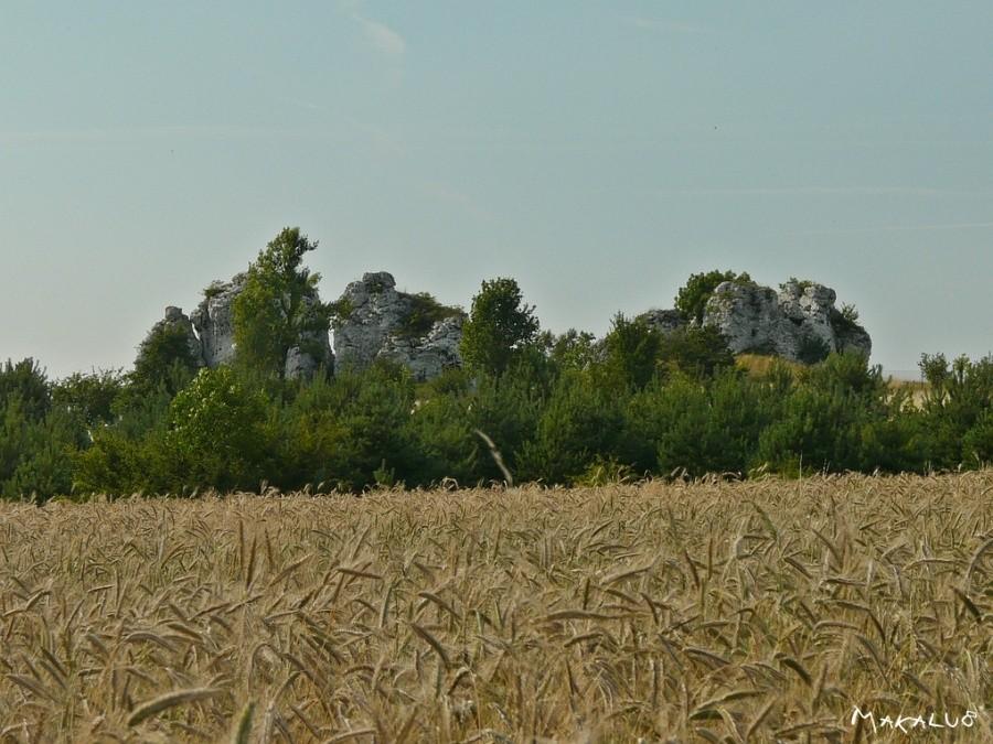 Jurajski krajobraz