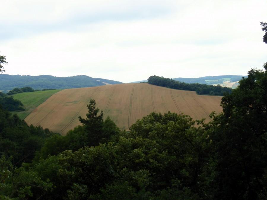 Widok z zamku