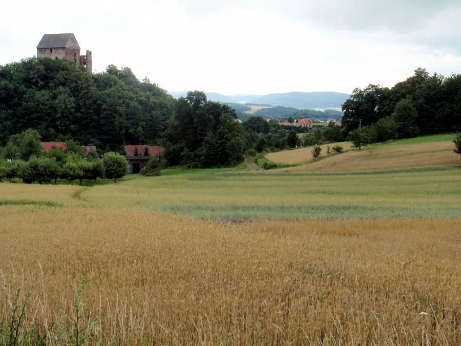 Zamek Świny