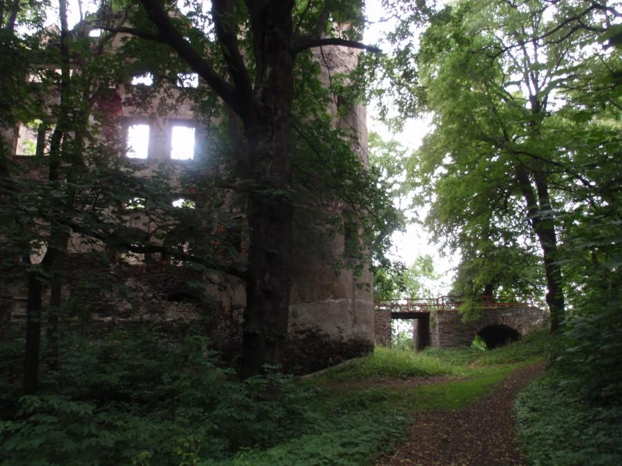 Zamek Świny