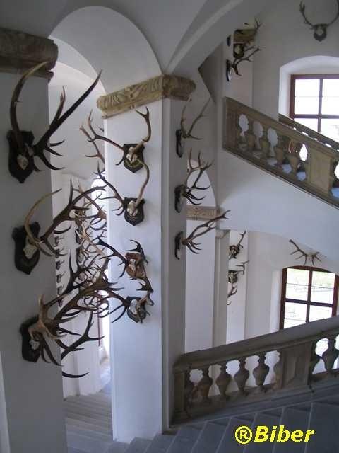 Zamek Úsov, Czechy - klatka schodowa