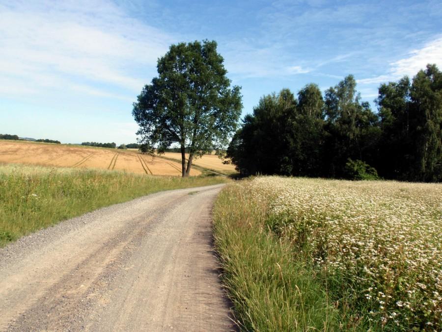Przez pola na Kondratów