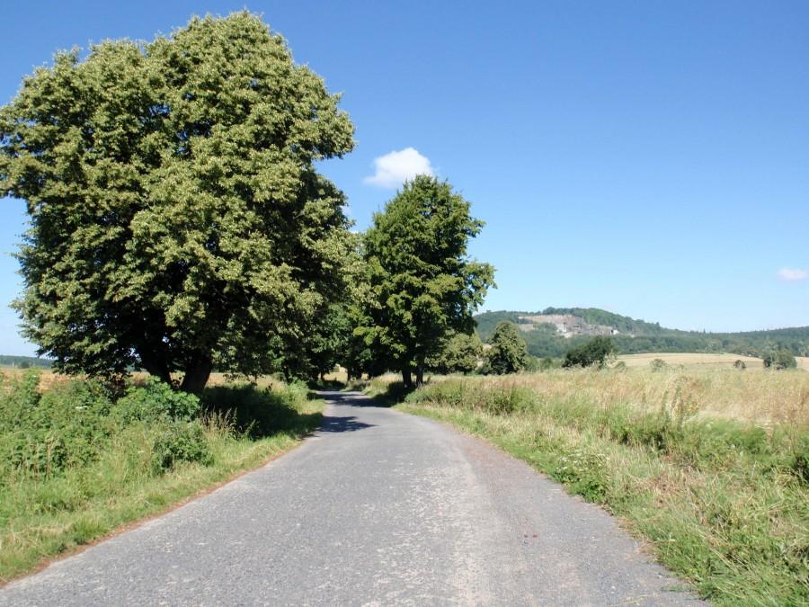 Droga na Wilków
