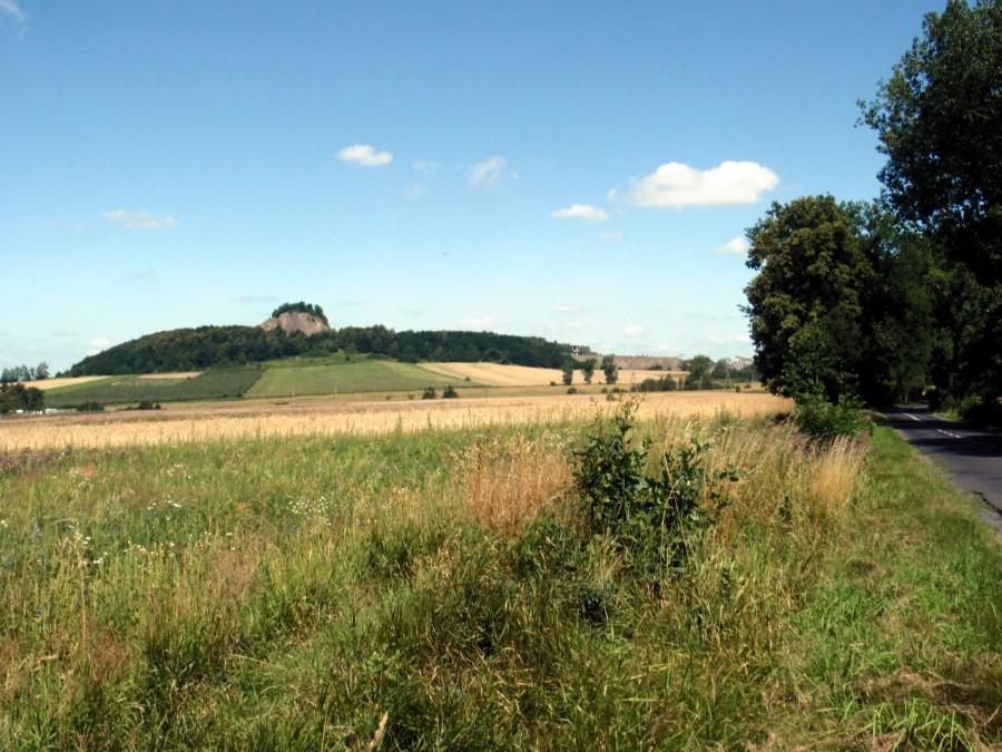 Wilkołak