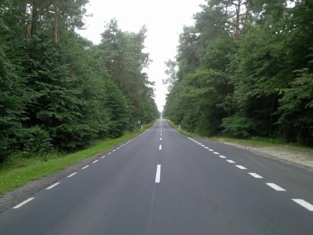 Szosa przez las
