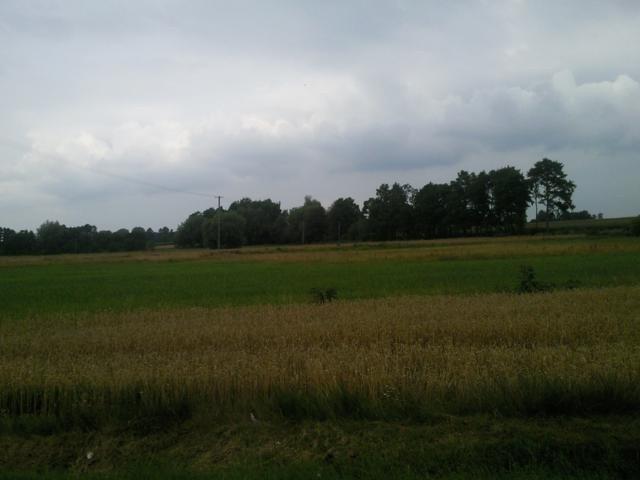 Pola i łąki