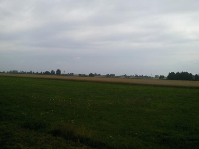 Pola i łąki cd.