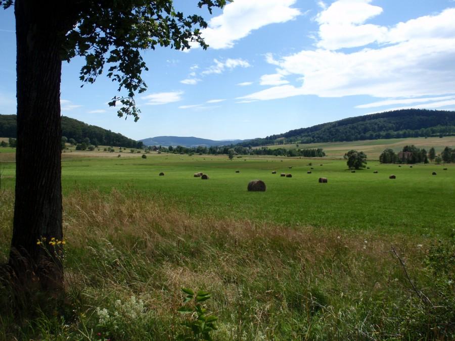 Widoczek z Wojcieszowic