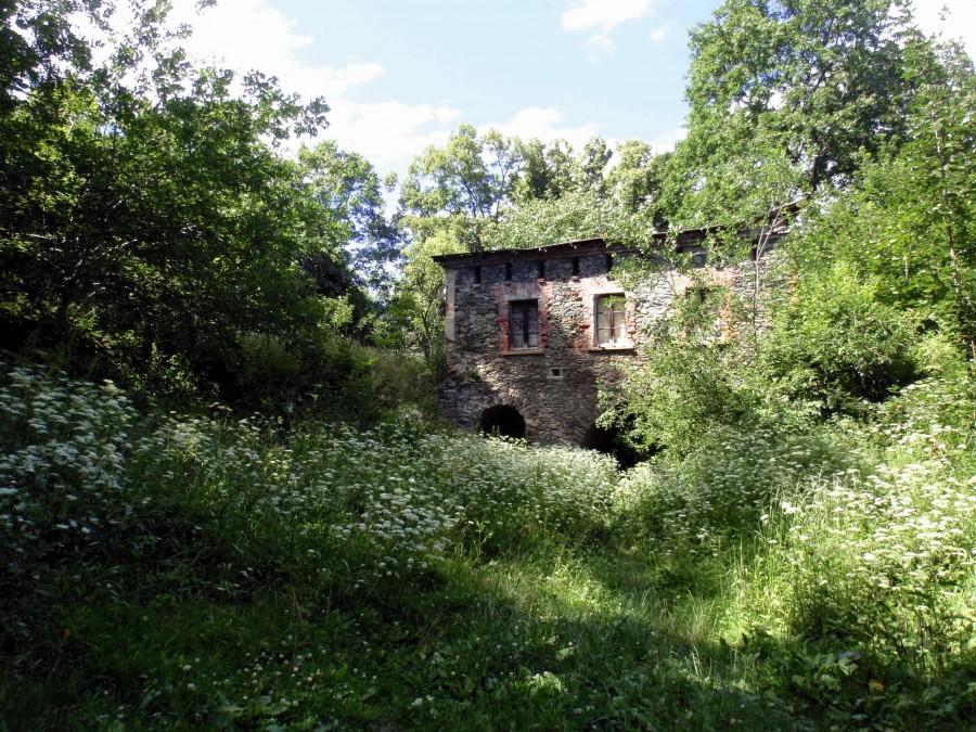 Ruiny toną w krwawnikach