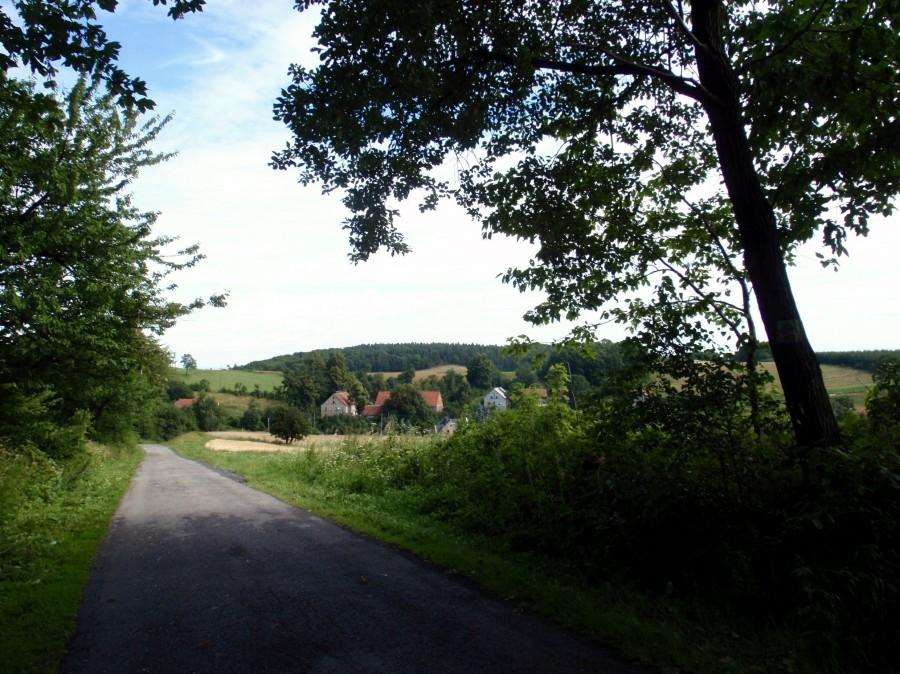 W drodze do Leszczyny