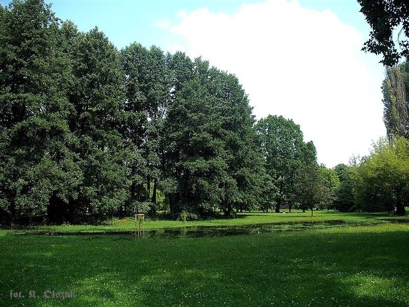 Między deszczem i burzą