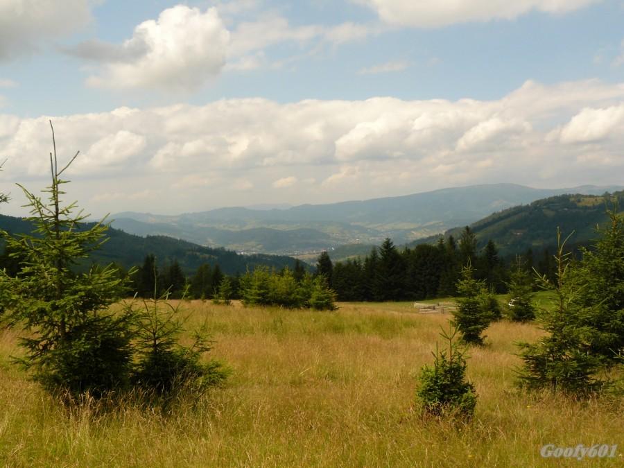 Widok na Kotlinę Żywiecką.
