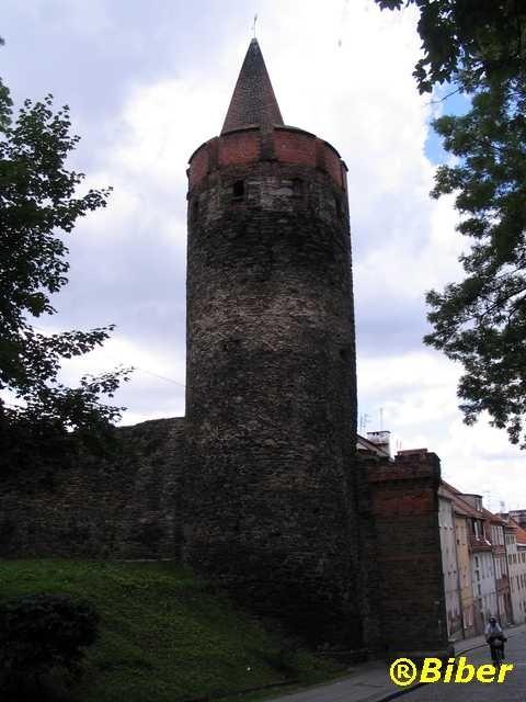 Paczków - baszta