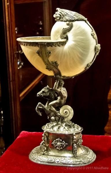 nautilus