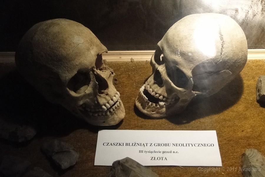 zostali eksponatami w muzeum :(