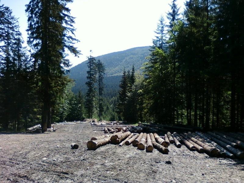 Koniec drogi