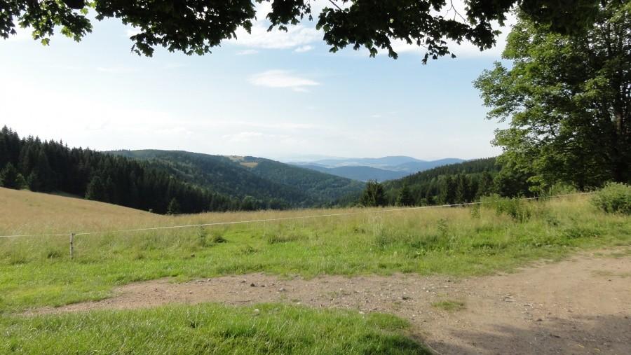 Widok na kotlinę kłodzką