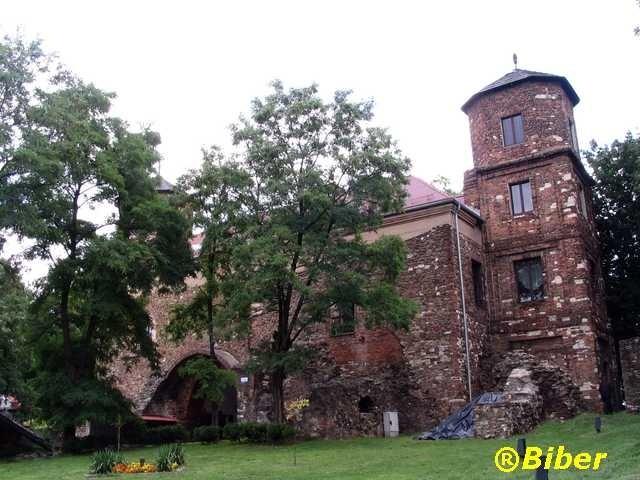 Toszek - zamek