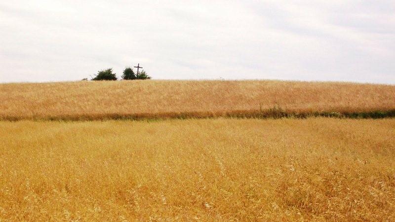 Pańska Góra w Szarwarku
