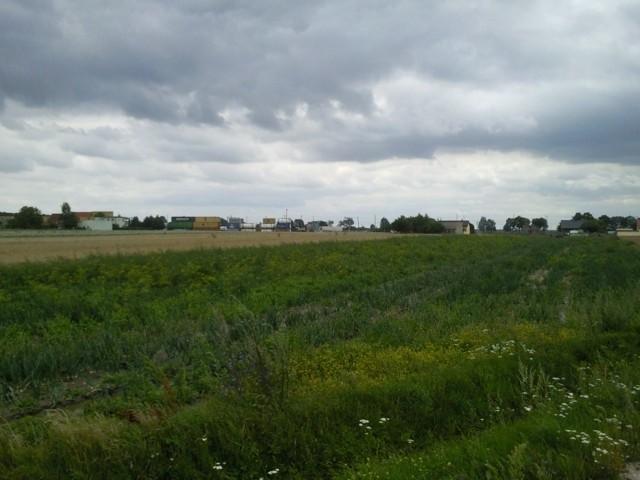 Widok na lewo