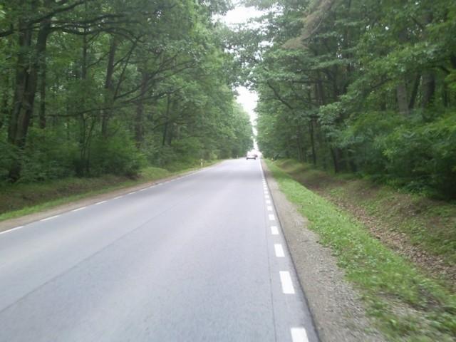 Kierunek Gostynin