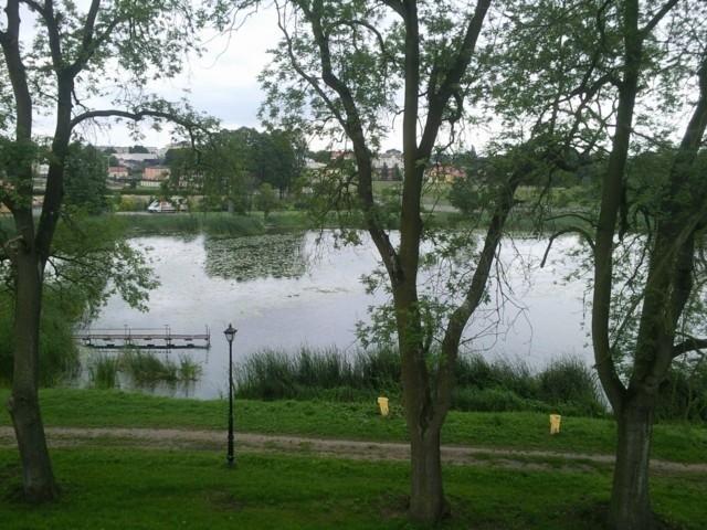 Widok na jezioro