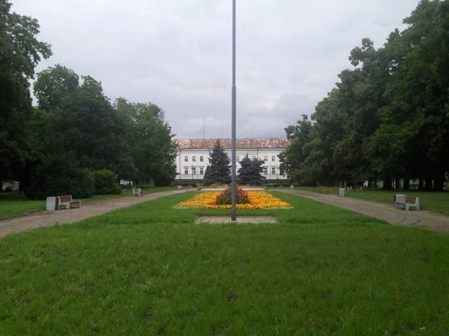 Trawa, kwiaty i jakis budynek w tle