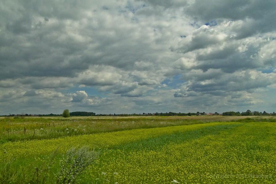 plaskatość niemożebna