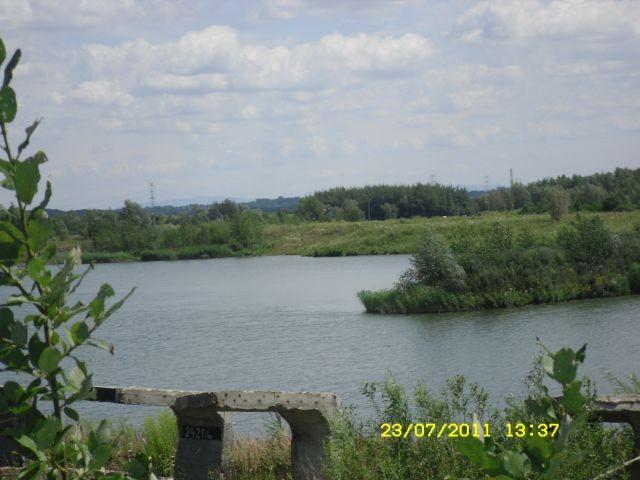 Zalewisko Polderu Buków