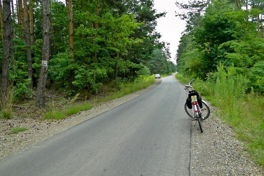 ten szlak zaprowadzi nas na camping