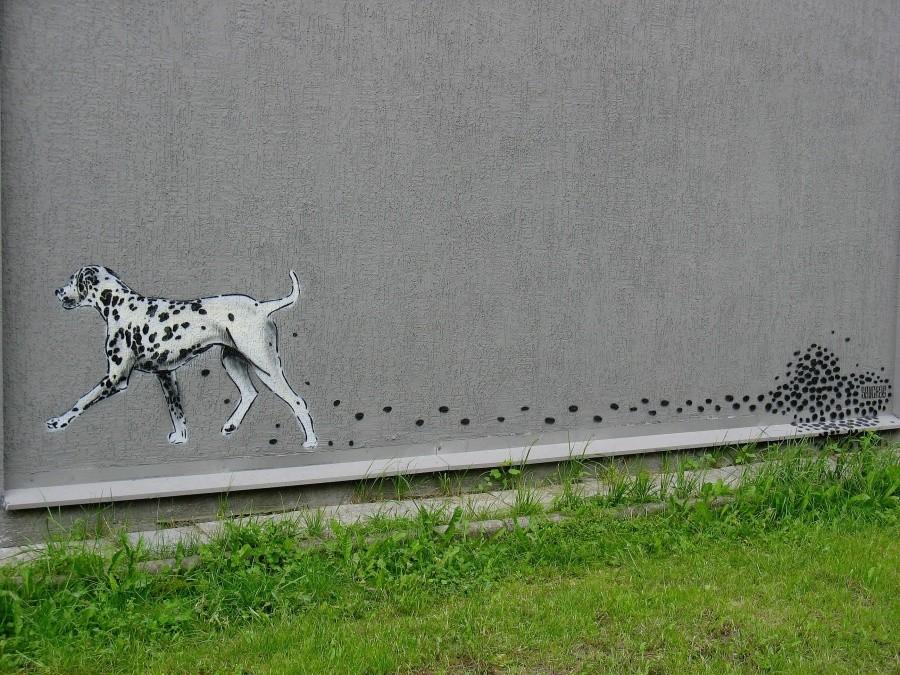 Dalmatyńczyk